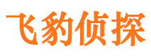 柳河婚外情调查取证